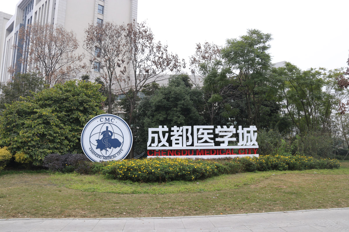 户外落地字医学城地标景观立体大字