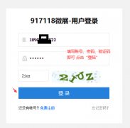 917118微展如何登陆？