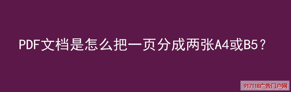 PDF文档,一页分两张A4或B5,印刷,软件,